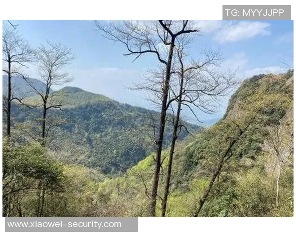 深度对话:周娜在英雄联盟世界中的成长与挑战之旅 深度对话:周娜在英雄联盟世界中的成长与挑战之旅