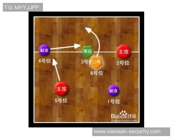 南京排球队整体压制战术解析与其在排球联赛中的影响力探讨 南京排球队整体压制战术解析与其在排球联赛中的影响力探讨