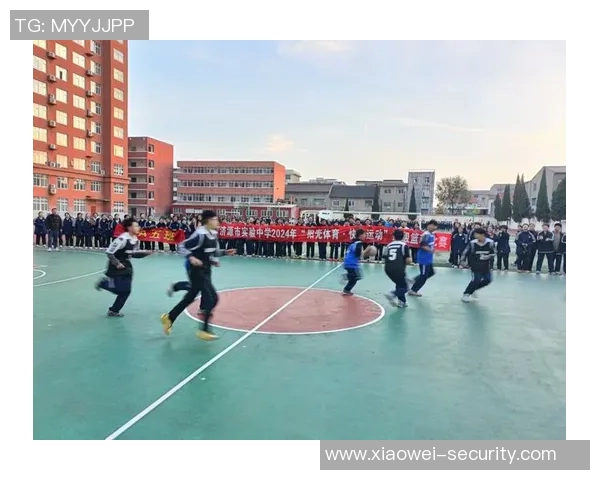 杭州排球队耐力变革引发热议全新训练理念助力竞技水平提升