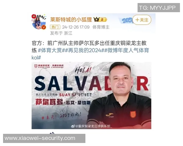 广州排球队战术变革引发热议球迷与专家共同探讨未来发展方向