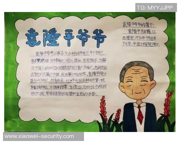 深度探讨杨军的乒乓球人生与奋斗历程的精彩故事 深度探讨杨军的乒乓球人生与奋斗历程的精彩故事