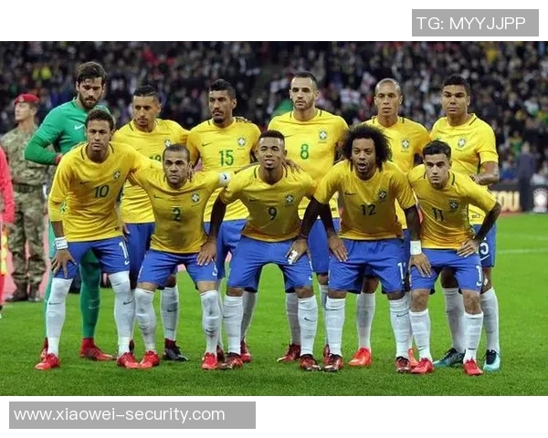 西安足球队在世界杯积分榜上以95分稳居第一名展现强大实力