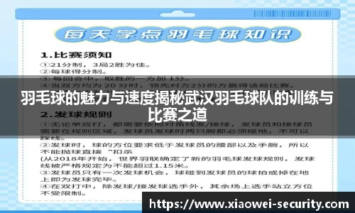 羽毛球的魅力与速度揭秘武汉羽毛球队的训练与比赛之道