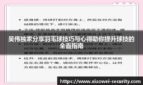 吴伟独家分享羽毛球技巧与心得助你提升球技的全面指南