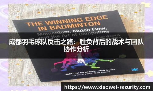 成都羽毛球队反击之路：胜负背后的战术与团队协作分析