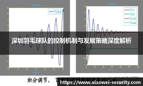 深圳羽毛球队的控制机制与发展策略深度解析
